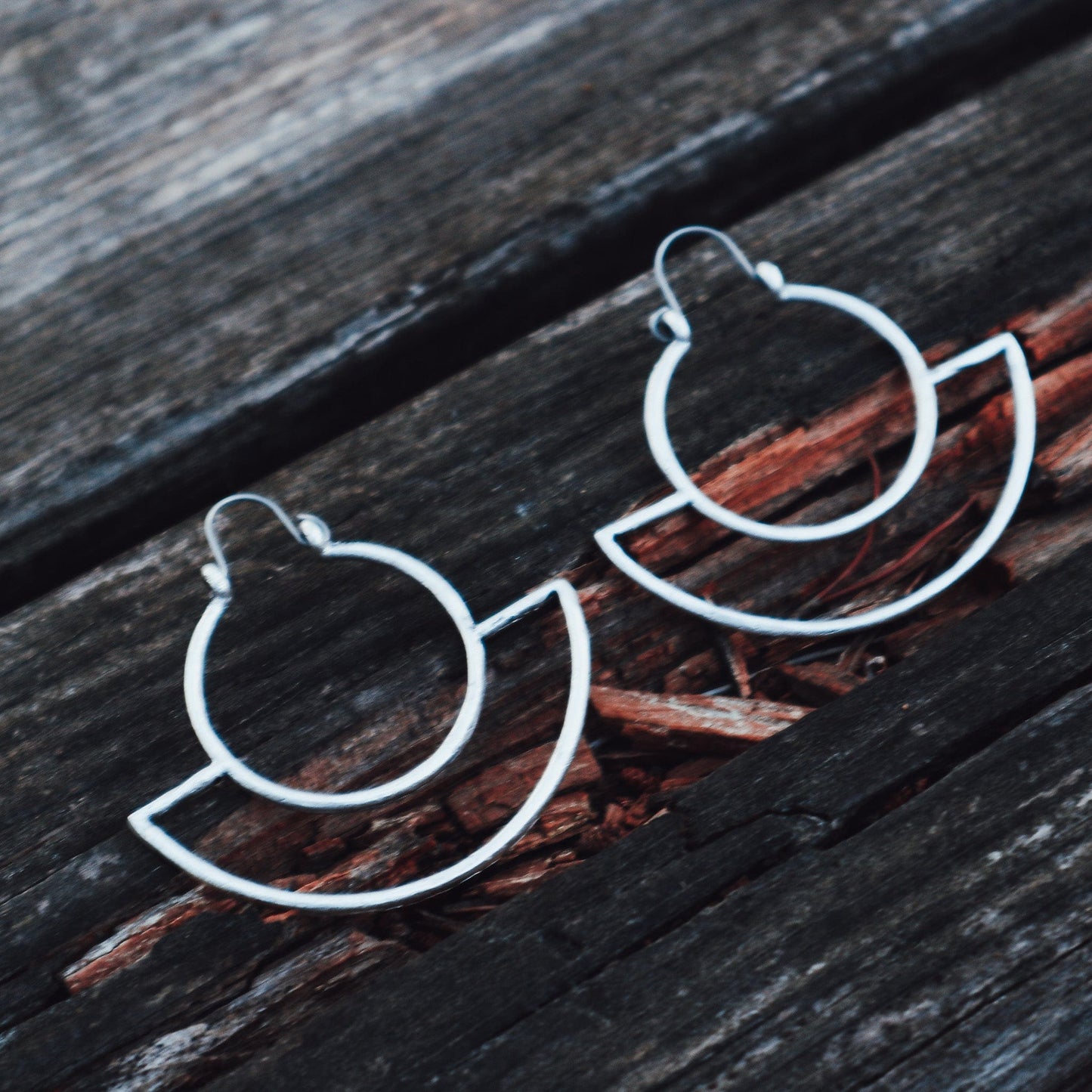 Delicate Earrings