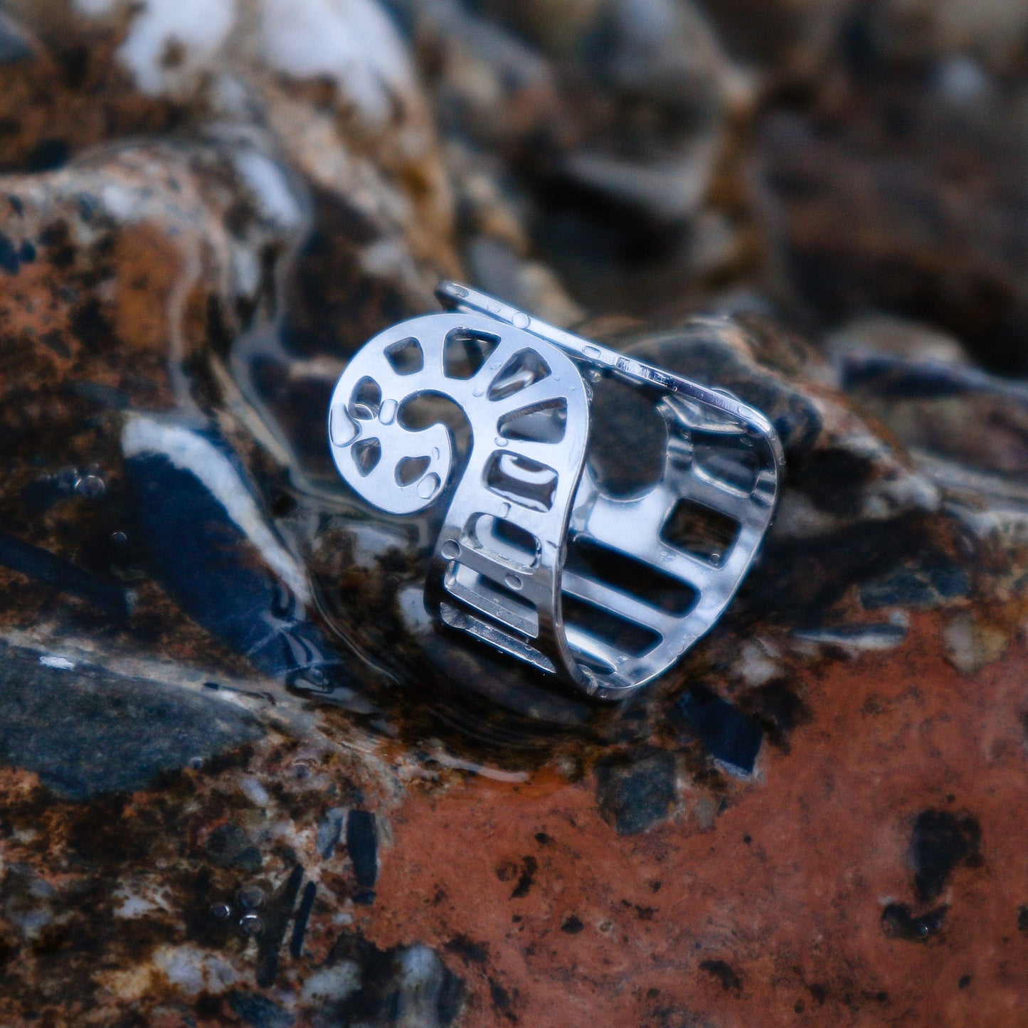 Shell Ring